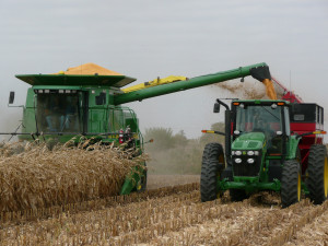 Gathering the Harvest